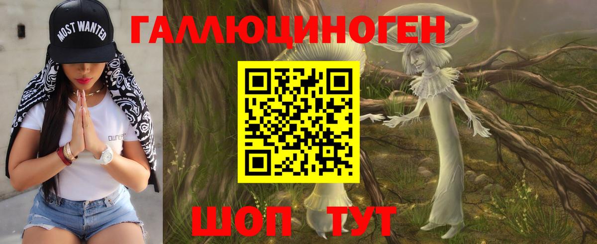 Таганрог  Псилоцибиновые грибы Psilocybine cubensis  Вход с VPN 