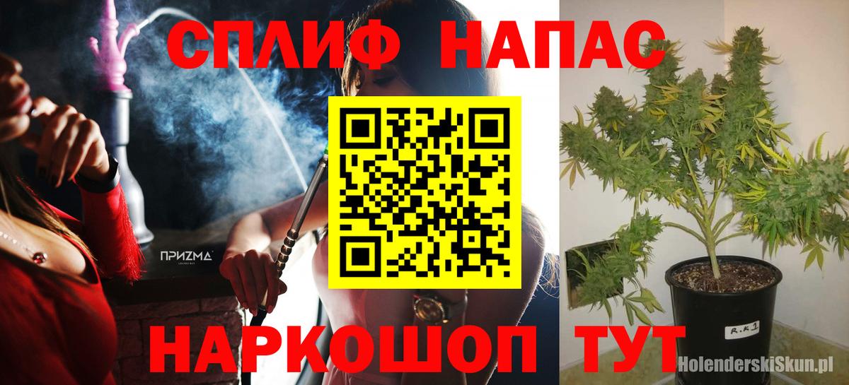 Бошки марихуана White Widow  Вход с VPN  Шишки марихуана MAZAR  Марихуана MAZAR  Марихуана семена  Таганрог 